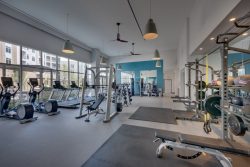 Apartments in Rockville, MD - The Daley at Shady Grove Fitness Center With Cardio Machines, Squat Racks, Free Weights, and Smith Machine