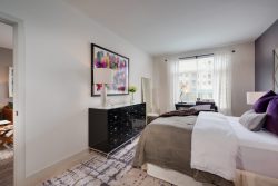 Apartments Rockville - The Daley at Shady Grove Bedroom With Large Window, Stylish Decor and Cozy Carpeting